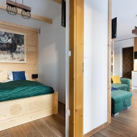 公寓 Parzenica Zakopane *